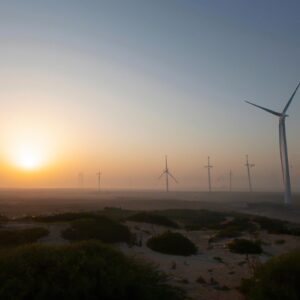 UAE Kicks Off Wind Farm Revolution in Bid to Reach Net-Zero Emissions